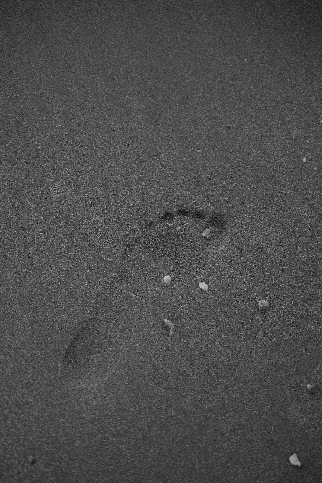FuĂźspur im Sand mit Muscheln als ruhiges Detail einer Hochzeit in Holland am Strand