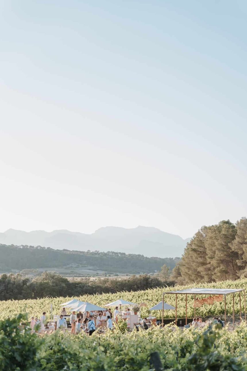 Luxus Outdoor Hochzeit in den Weinbergen – stilvolles Get-together zwischen Weinreben mit Blick auf die Berge, ganz im Sinne einer entspannten Quiet Luxury Wedding geplant von Hey Happy Day Hochzeitsplanung.